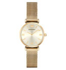 Montre femme emporio armani ar1957