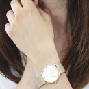 Montre femme calvin klein 25200034