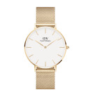 Montre femme daniel wellington petite evergold or