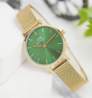 Montre femme daniel wellington petite emerald
