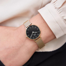 Montre femme daniel wellington  dw00100349