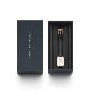 Montre femme daniel wellington  dw00100434