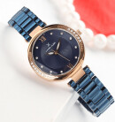Montre femme daniel klein premium navy dk11741-4