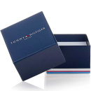 Montre homme tommy hilfiger daniel 1710417