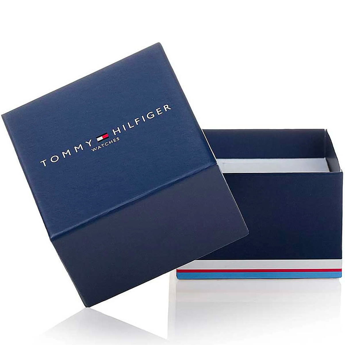 Montre homme tommy hilfiger daniel 1710417