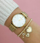 Montre femme emporio armani ar1877