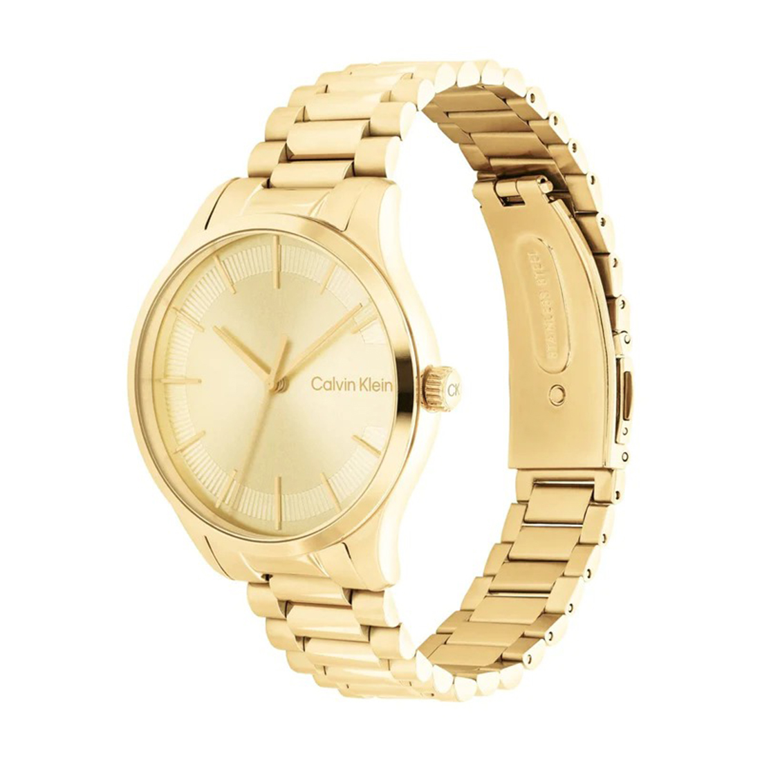 Montre femme calvin klein 25200043