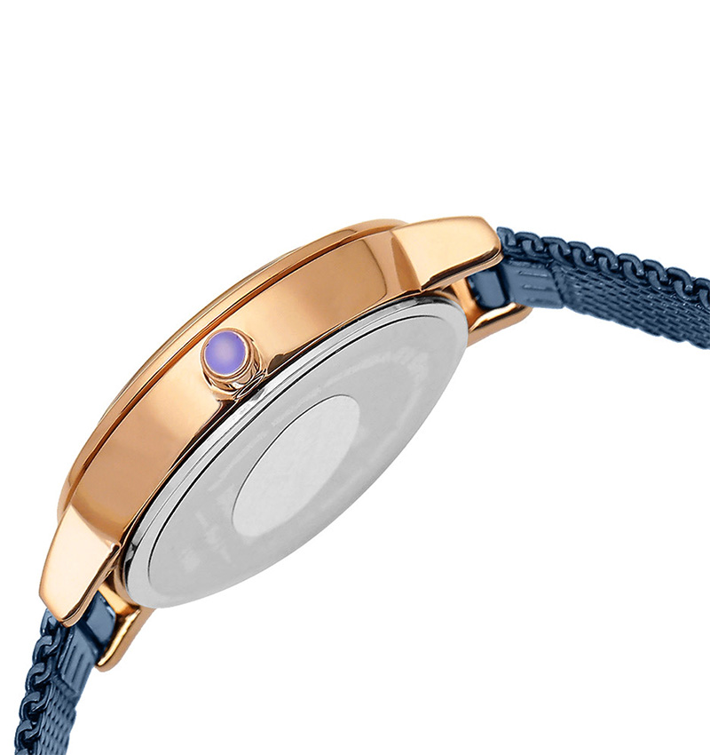 Montre femme daniel klein fiord navy dk11699-5