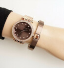 Montre femme michael kors mk3217