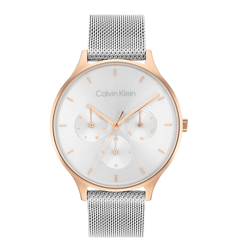 Montre femme calvin klein 25200106