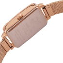 Montre femme daniel klein dk.1.13233.4