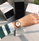 Montre femme emporio armani ar2067