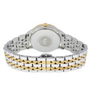 Montre Femme Emporio Armani AR1963