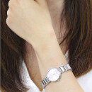 Montre femme calvin klein 25200138