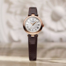 Montre femme tissot bellissima t126.010.36.013.00