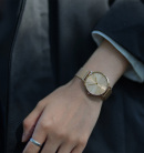 Montre femme daniel wellington petite unitone or