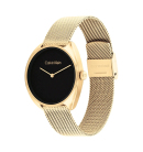 Montre femme calvin klein 25200271