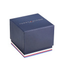 Montre homme tommy hilfiger th1710522