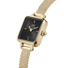 Montre femme daniel wellington quadro mini evergold onyx