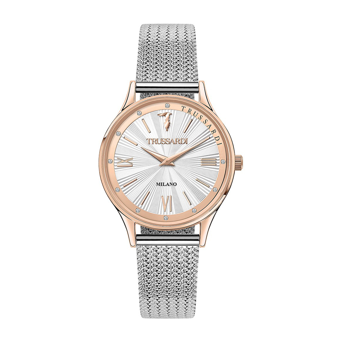 Montre femme trussardi r2453152507