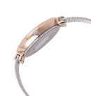 Montre femme daniel klein dk11804-7