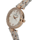 Montre femme daniel klein dk11884-3