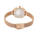 Montre femme daniel klein dk117211