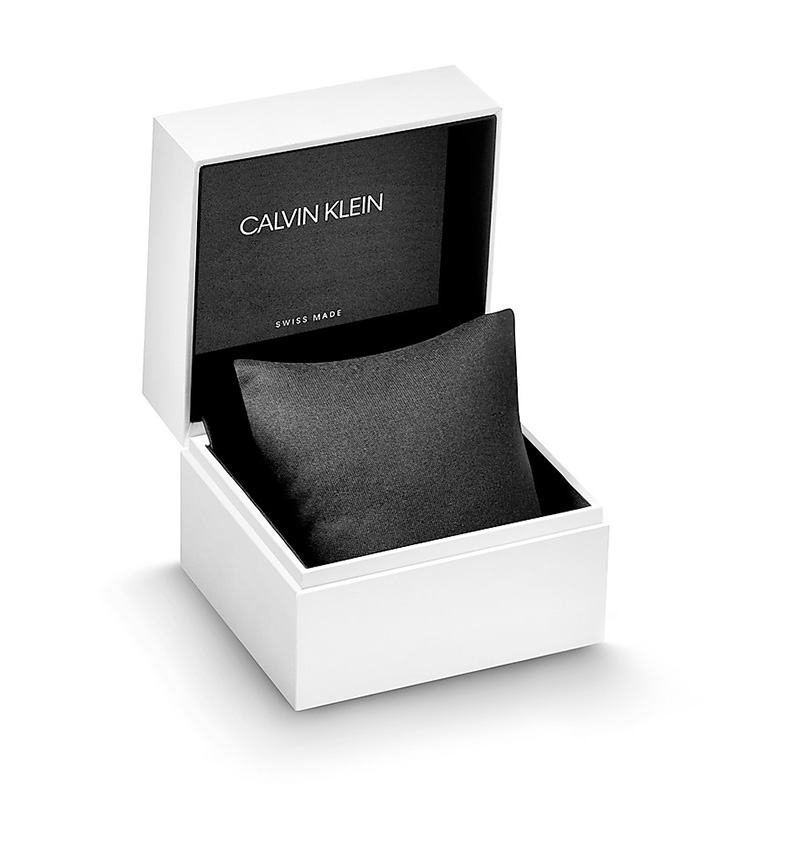 montre calvin klein minimale k3m2t126