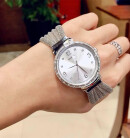 Montre femme guess chiffon w1083l1