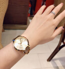 Montre femme guess lola w1145l3