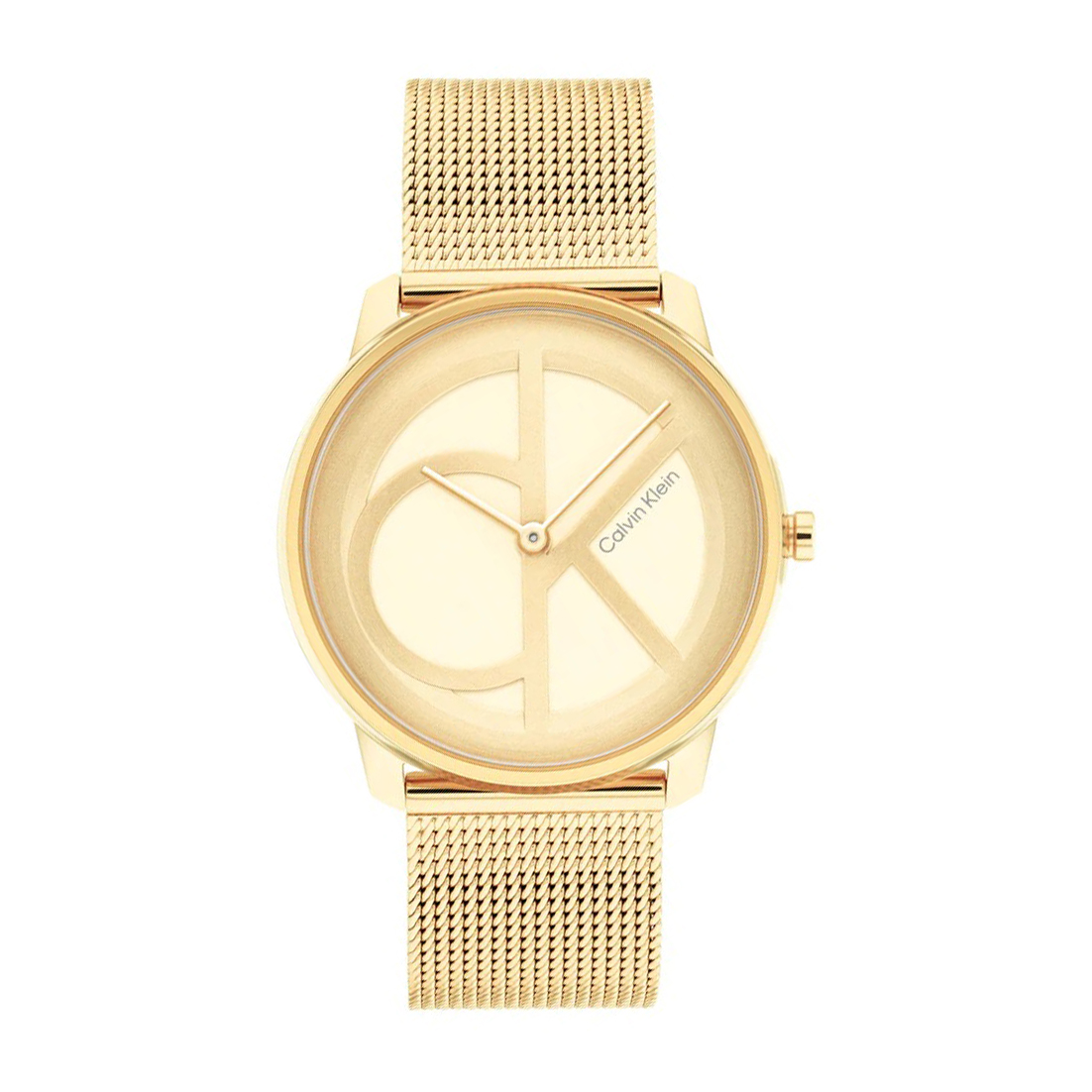 Montre femme calvin klein 25200034