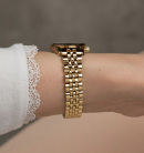 Montre femme michael kors mk4842