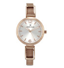 Montre femme daniel klein dk11795-4