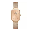 Montre femme daniel wellington  dw00100484