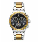 Montre homme swatch golden youth yvs427g