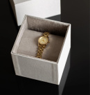 Montre femme michael kors mk4862