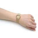 Montre femme swatch ysg167m