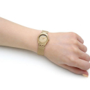 Montre femme swacth ysg167n