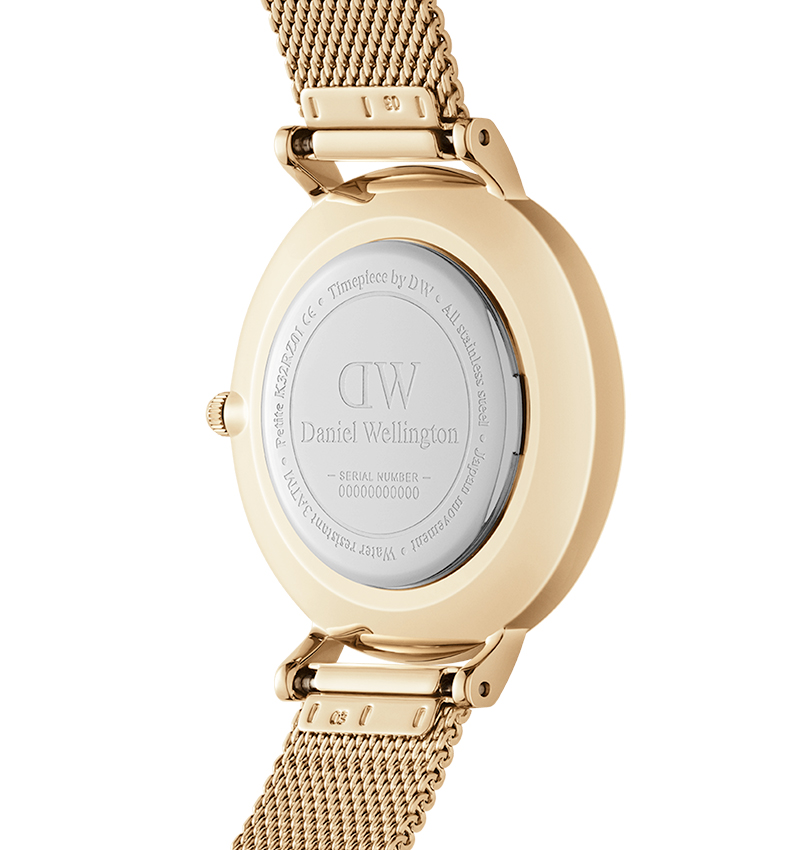 montre femme daniel wellington petite evergold or